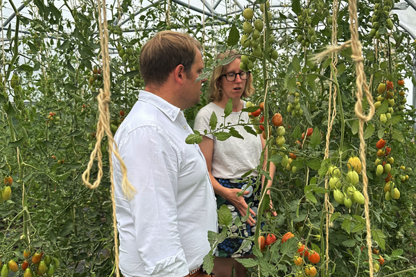Luke at Sutton Community Farm