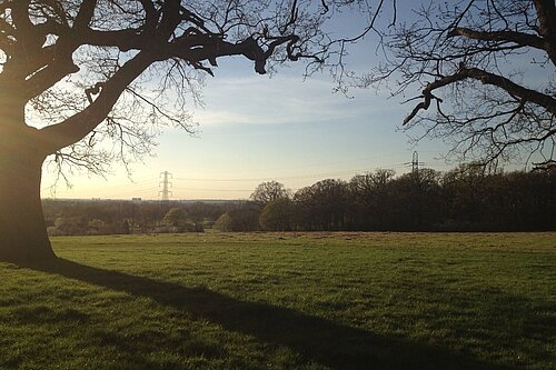 Sutton is a green borough